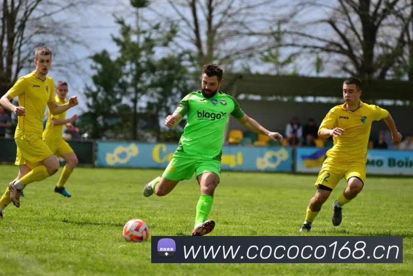 博亚体育app官方入口平台生态图